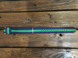 0304DW Daniel Wellington Warwick 20mm Nylon Strap Blue and Green - Stars and Stripes 